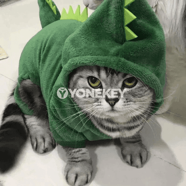 It we pişik üçin gyş ýyly eşigi, dinozawr görnüşli