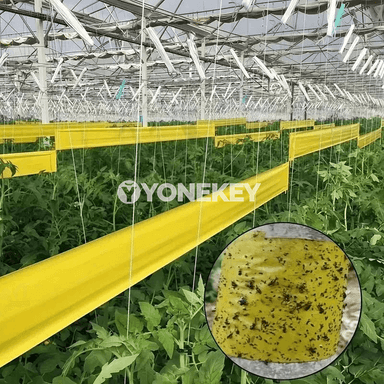 Baglar we bagbançylyk üçin iki taraply ýelimli mör-möjek garşy lenta