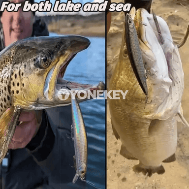 2 sany ýüzýän minnow balyk sili toplumy, 24g, 14 sm