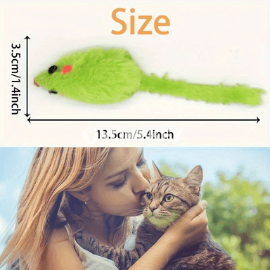 Pişik üçin 25 sany ýumşak syçanjyk oýunjak toplumy