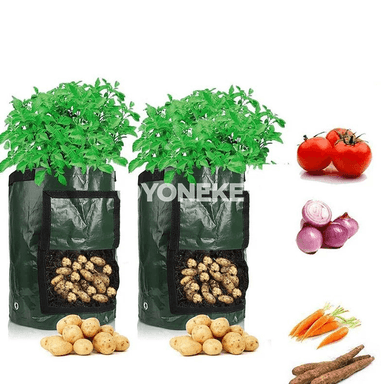 Kartoşka ekmek sumkasy, bag üçin 3 gallon ösümlik ösdürmek haltasy