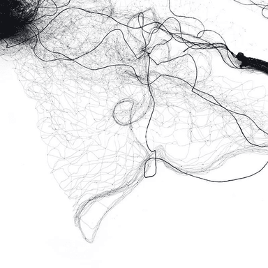 Guşlardan gorag üçin nylon tor, bag we meýdan ekinleri üçin