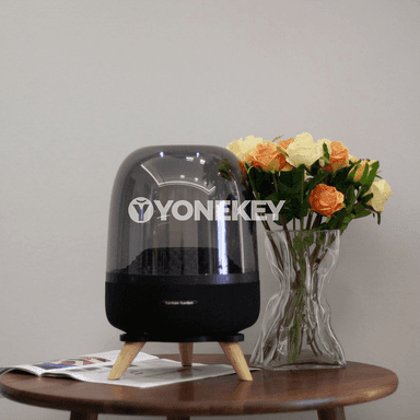 Harman Kardon üçin agaçly, süýşmeýän akustiki stend