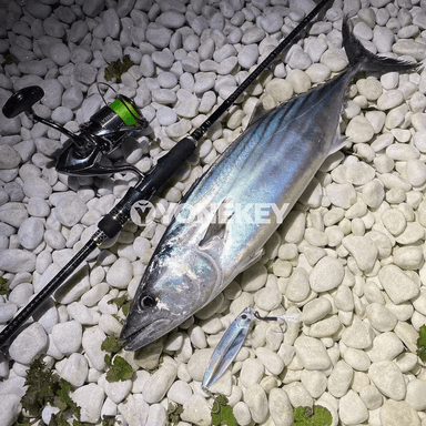 Metal jig balyk öýkünmesi 30g/40g/60g, uzaaga zyňylýan önüm
