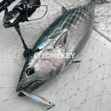 Metal jig balyk öýkünmesi 30g/40g/60g, uzaaga zyňylýan önüm