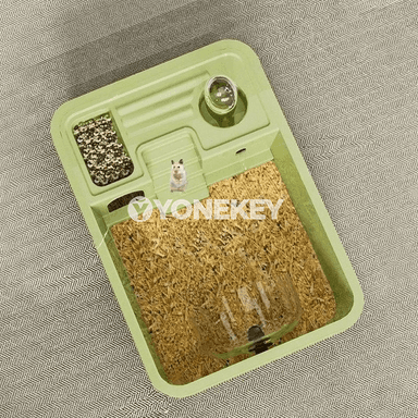 Hamster üçin uly, çydamly, ýokarky açylýan ýaşaýyş jaýy