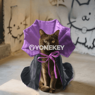 It we pişik üçin Halloween peleriniň lybasy, kiçi itler üçin