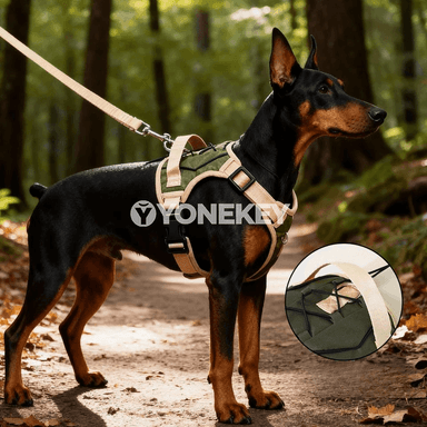 Itler üçin taktiki peşeholky, tutawaçly we sazlanýan harness