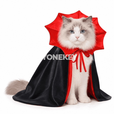 It we pişik üçin Halloween keşbi — gara wampir örtükli eşik toplumy