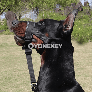 Itler üçin dem alýan gorag maskasy, dişlemegi azaltýan muzzle