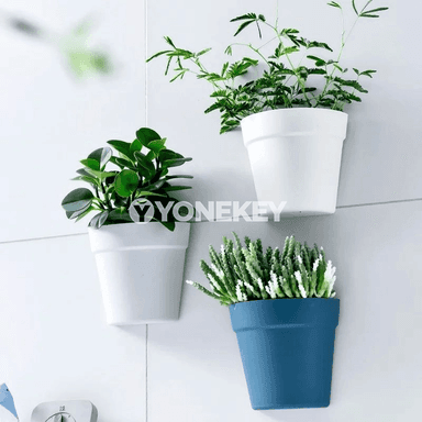 Diwara dakylýan plastik güljagaz, öý we balkon üçin