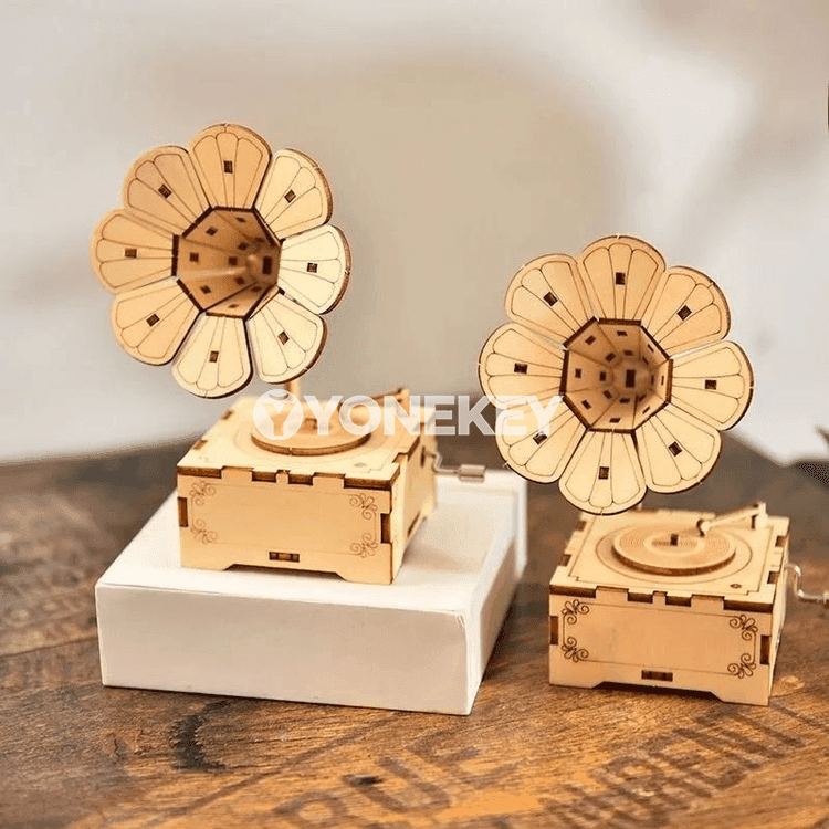 Çagalar üçin DIY fonograf we saz gutusy model toplumy