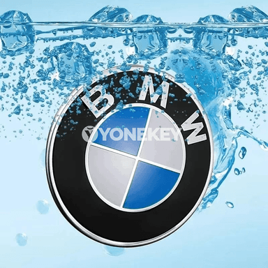 BMW ulagyon belgisi 74/82 mm – kapot we bagaj üçin emblem