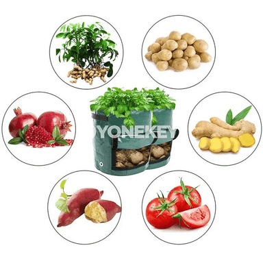 Kartoşka ekmek sumkasy, bag üçin 3 gallon ösümlik ösdürmek haltasy