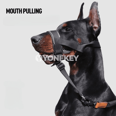 Itler üçin dem alýan gorag maskasy, dişlemegi azaltýan muzzle
