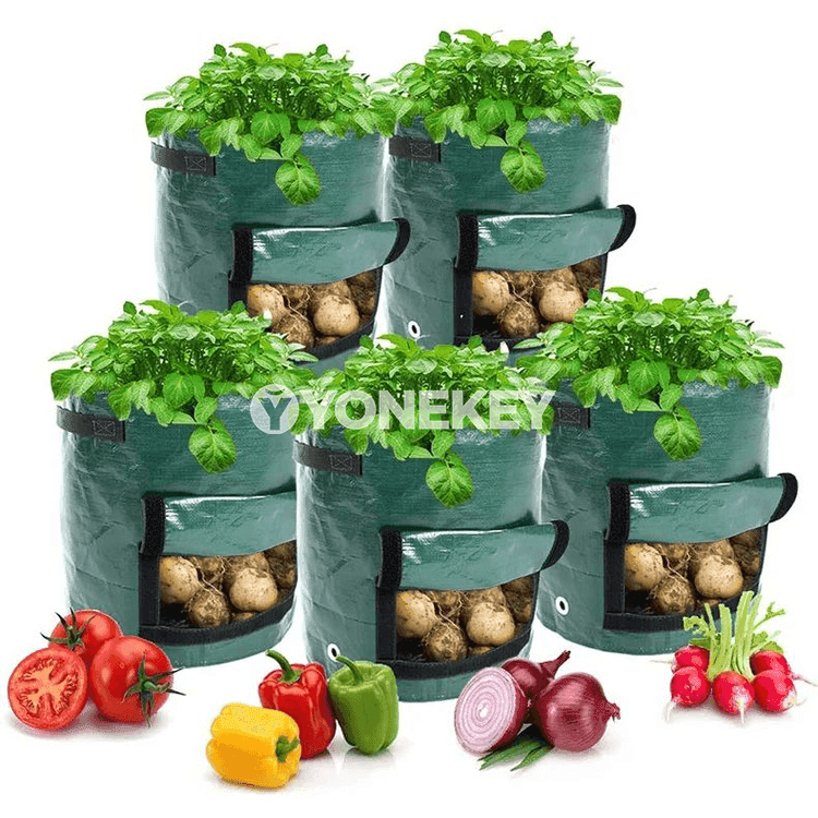 Kartoşka ekmek sumkasy, bag üçin 3 gallon ösümlik ösdürmek haltasy