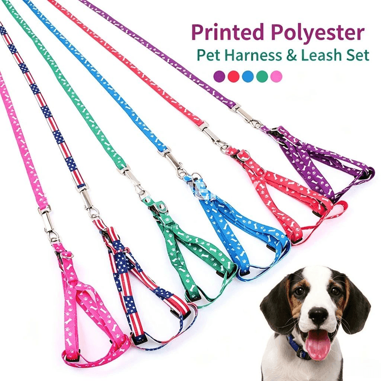 Kiçi itler üçin sazlanýan harness we ýüp toplumy, çaply poliester