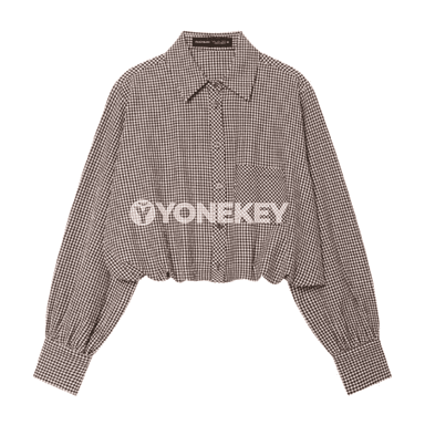 Zenanlar üçin kädeli ýeňli plaid bluzka, ýeňil we sypaýy stil