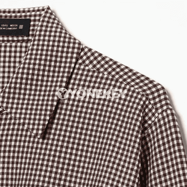Zenanlar üçin kädeli ýeňli plaid bluzka, ýeňil we sypaýy stil
