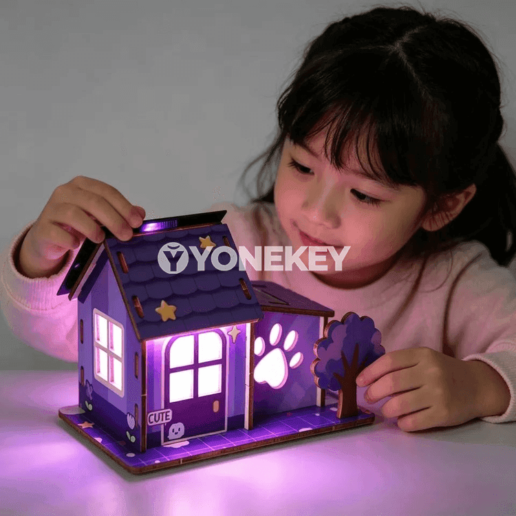 DIY ylym-bilim gurluşyk toplumy: 3D agaç model we başarnykly oýnawaç