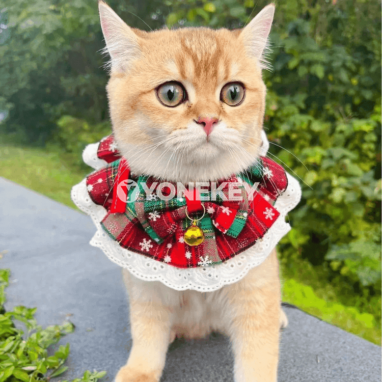 Täze Täze ýyl pişik ýakasy jaňly — ownuk itler üçin ýumşak bandana