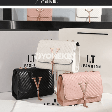 👜 Aýal-gyzlar üçin kaşaň mini sumka