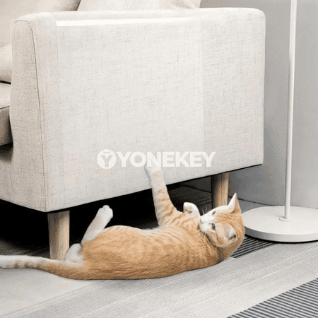 Aşhana üçin ýag geçirmeýän diwar plyonkasy, ýyluga çydamly stikyr