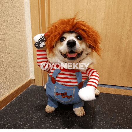 Itler üçin Gülkünç Halloween eşigi, baýramçylyk lybasy