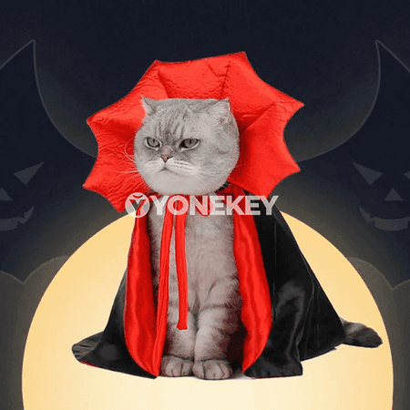 It we pişik üçin gülkünç vampir penjekli Halloween eşigi