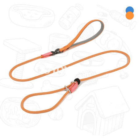 Itler üçin 2-in-1 tälim boýunbagy bilen 360° boýun ýüpü, 150 sm