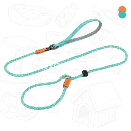 Itler üçin 2-in-1 tälim boýunbagy bilen 360° boýun ýüpü, 150 sm