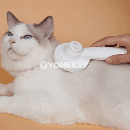 Pişik we it üçin tüý aýyrýan taraşlaýjy darak