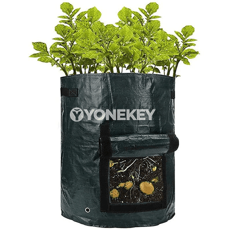 Kartoşka ekmek sumkasy, bag üçin 3 gallon ösümlik ösdürmek haltasy
