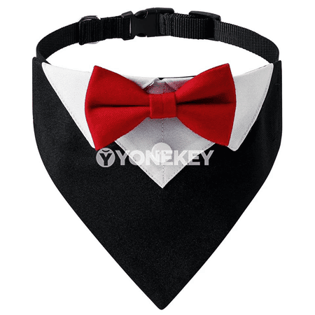 It üçin toý we doglan gün üçin tuxedo görnüşli boýunbagly bezeg toplumy