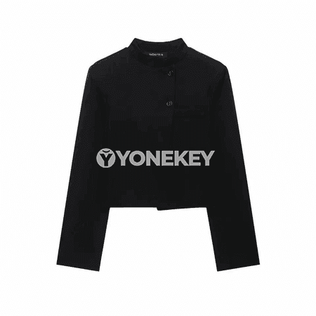 Zenanlar üçin ýönekeý, owadan ofis blazer ýeňil ýeňli model