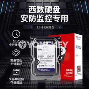 Hikvision Western Digital gaty disk