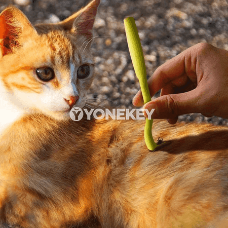 3 sany öý haýwanlary üçin ganym çykarýan tämizleýji gural toplumy