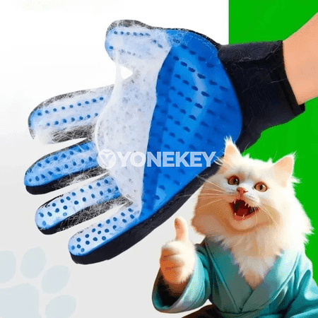 Pişik elligi — öý haýwanlary üçin tüý ýygnadyjy ellik