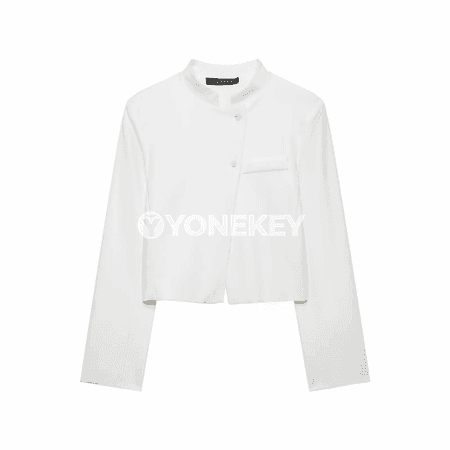 Zenanlar üçin ýönekeý, owadan ofis blazer ýeňil ýeňli model