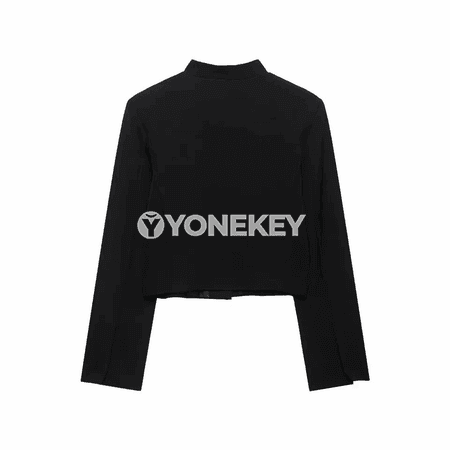 Zenanlar üçin ýönekeý, owadan ofis blazer ýeňil ýeňli model