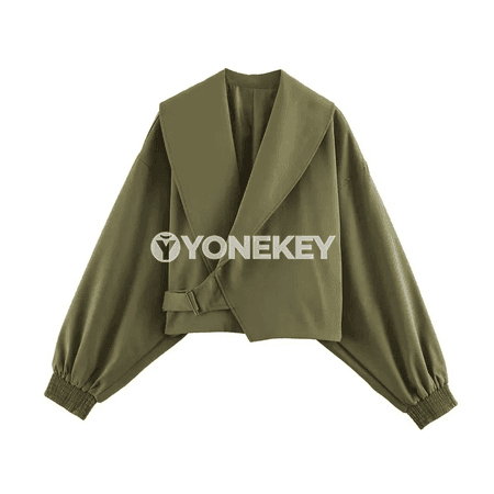 Zenanlar üçin ýaz-güz uzyn ýeňli resmi blazer penjek